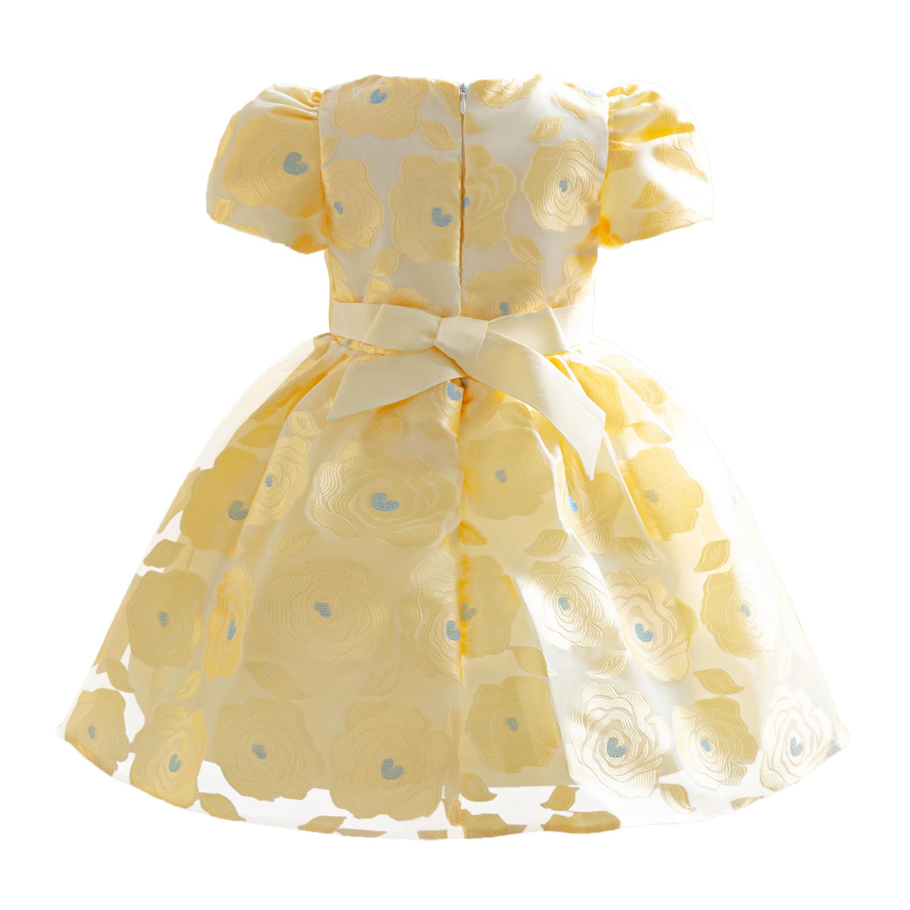 Niñas Vestidos Niños Manga Corta Princesa Vestidos Niños Flor Jacquard Tela Vestidos Elegante Vestido