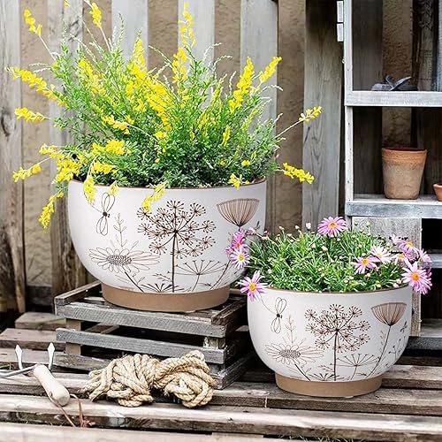 Miniatura 6 de YBX - Macetas de cerámica para suculentas de 8 pulgadas + 6 pulgadas, color blanco y terracota, con agujeros de drenaje, macetas de terracota para