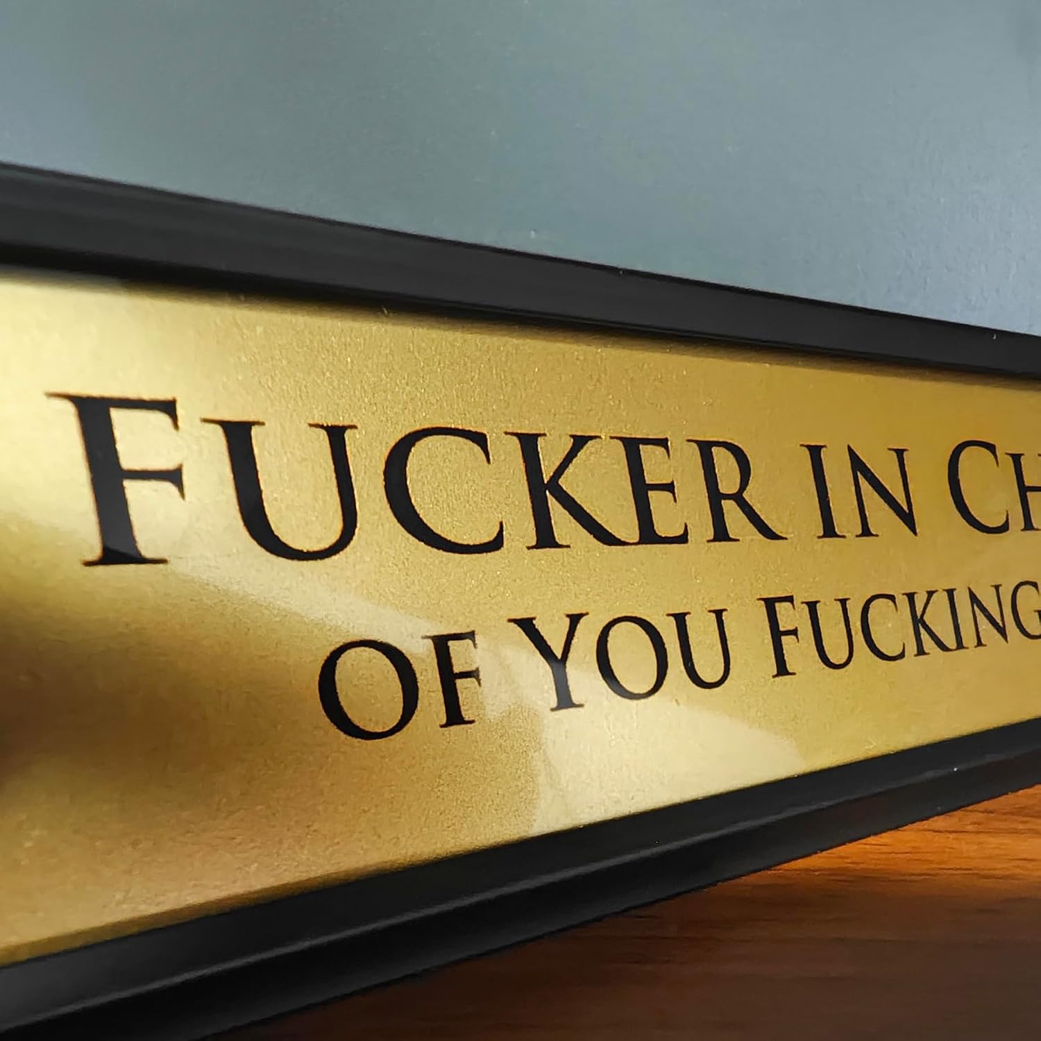 Fucker in Charge of You Fucking Fucks Office Sign - 8x2" Executive Desk Nameplate for Boss, Manager, and Coworker Gifts