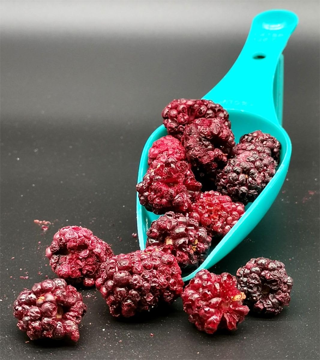 Müsli Mühle Bio Wild Brombeeren gefriergetrocknet – Trockenobst – 1000g | Ganze Frucht / Bruch – für Müsli, Backen & Snacks – getrocknete Früchte – ballaststoffreich & ohne Zuckerzusatz