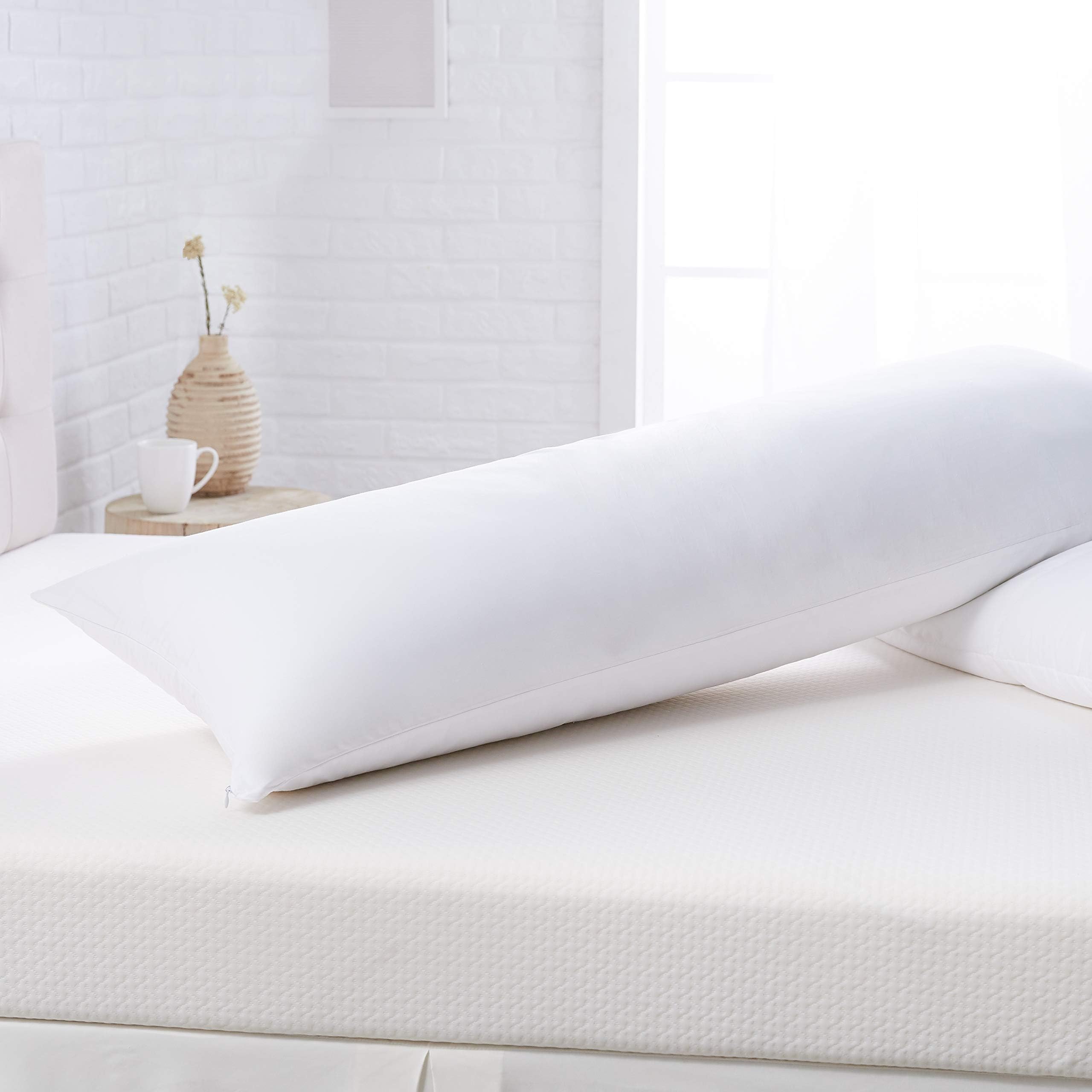 Pinzon Body Pillow with Cover