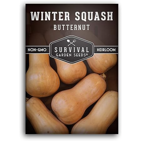Amazon Com Survival Garden Seeds Butternut Squash Seed For Planting Packet With Instructions To Plant And Grow In Your Home Vegetable Garden Non Gmo Heirloom Variety Garden Outdoor
