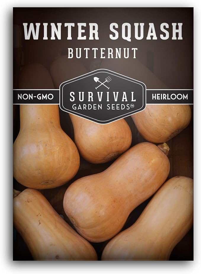 Survival Garden Seeds Butternut Squash Seeds
