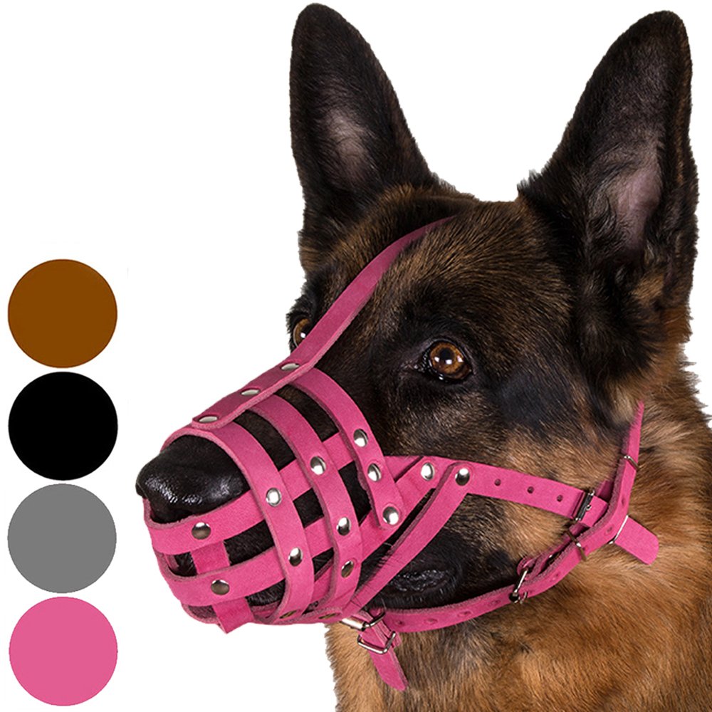 CollarDirect Dog Muzzle German Shepherd Dalmatian Doberman Setter