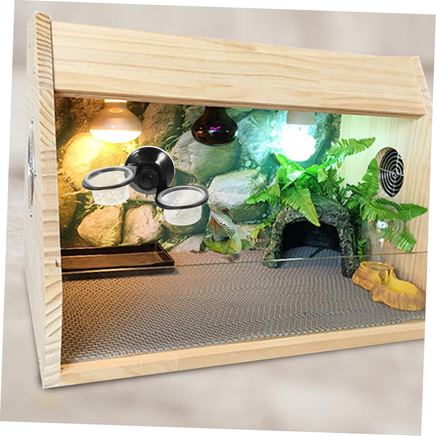 INOOMP 6pezzi Ciotole Sospese Multi- per e Accessori per Terrario Ciotole per Rettili e Facile Installare