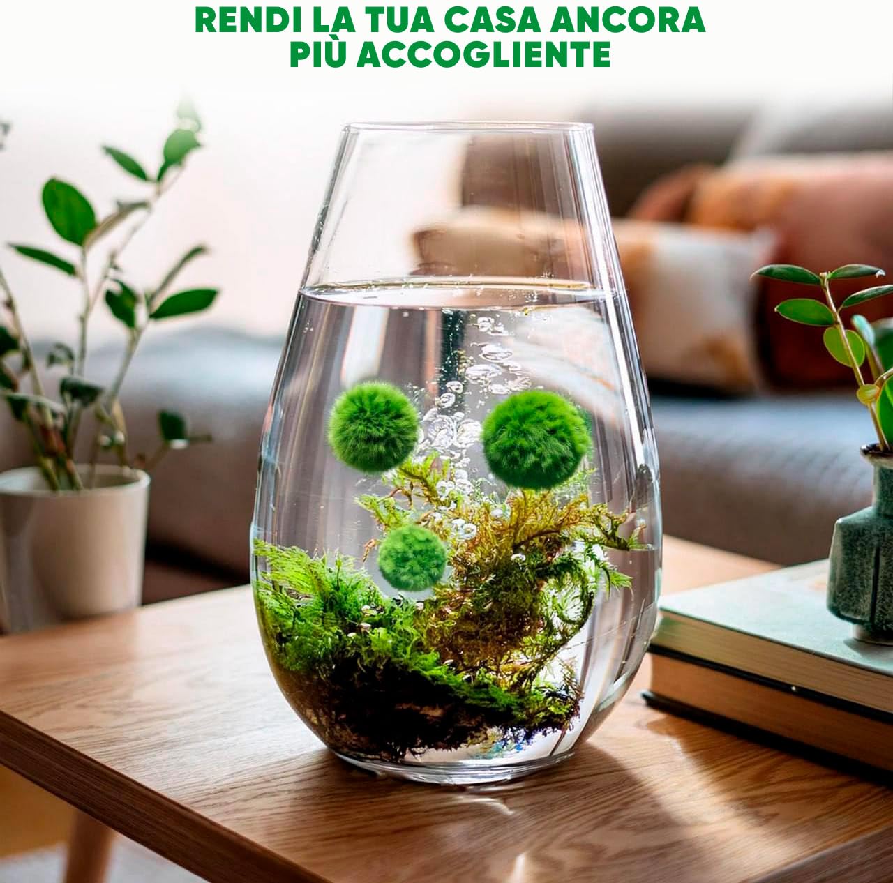 Marimo Alga Viva - 21 - Alga Palla Naturale per Acquario Piante Vere Acquario Acqua Dolce Ecosistema Autosufficiente Marimo Regalo, Moss Ball 2-4 cm per Nano e Grandi Acquari