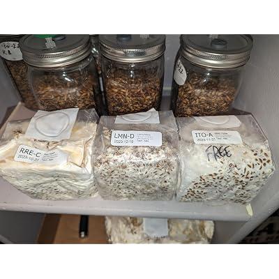 ubuy Nigeria