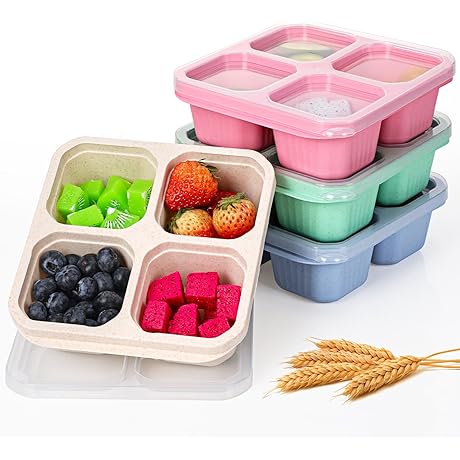 Moretoes 4 Pack Snack Box Containers with Clear Lids