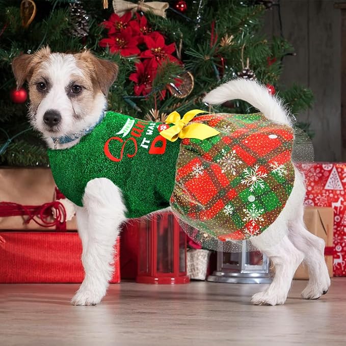 Disfraz para perro con tema de calabaza y bruja miniatura 2