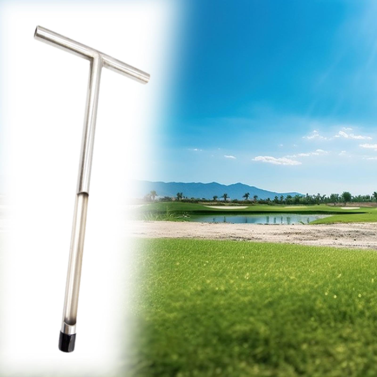 Homyl Bodenprobenentnahmesonde Aus Edelstahl, für Die Pflanzenpflege, Bodenprobenentnahme Und Wartung