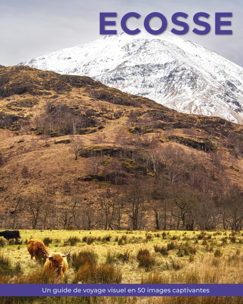 Ecosse: Un guide de voyage visuel en 50 images captivantes