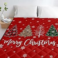 Vista 5 de T&H XHome Quilt Twin Size Luxury Quilted Comforter Bedspread-Thin Soft Cozy, Red Christmas Buffalo Plaid Xmas Tree Snowflake Reversible Stitched