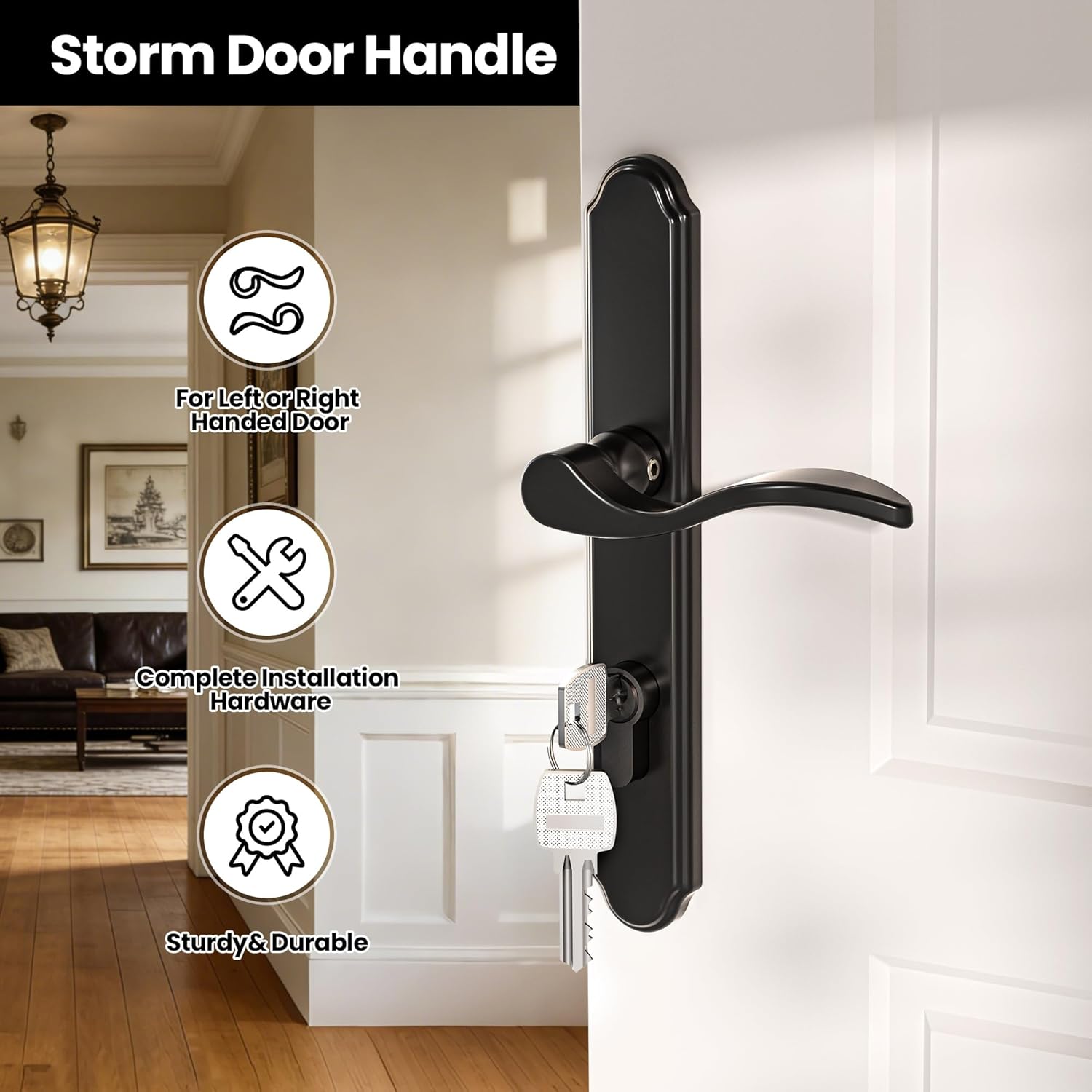 Storm Door Handle Complete Set Fits for Screen and Storm Doors, with Lock Cylinder and Key, 2-1/2" Handle PZ, Matte Black