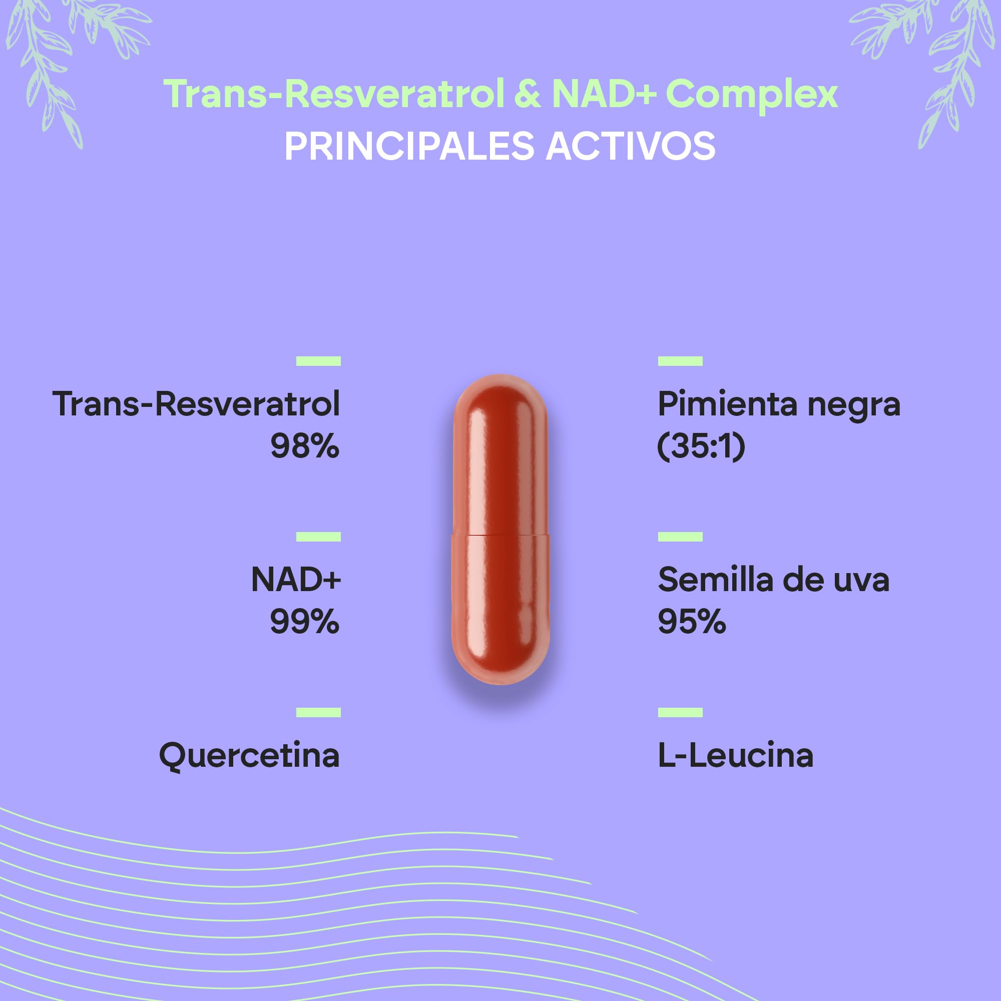 Trans Resveratrol NAD+ 686mg Complex - Quercetina Piperina Semilla Uva (OPC) - 60 Cápsulas Transresveratrol Nutralie