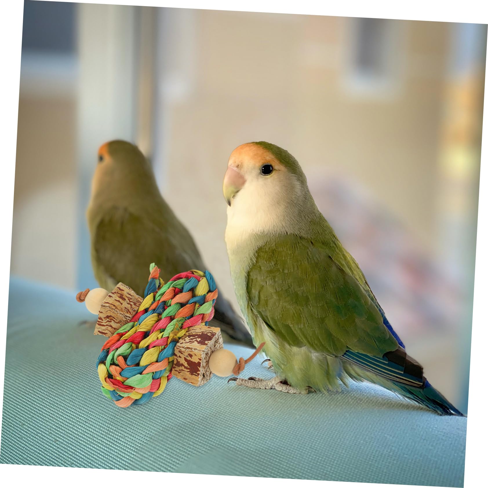 GALPADA Parrot Chew Foraging for Birds Hanging Bird for Emotional and Physical Stimulation for Parrots and