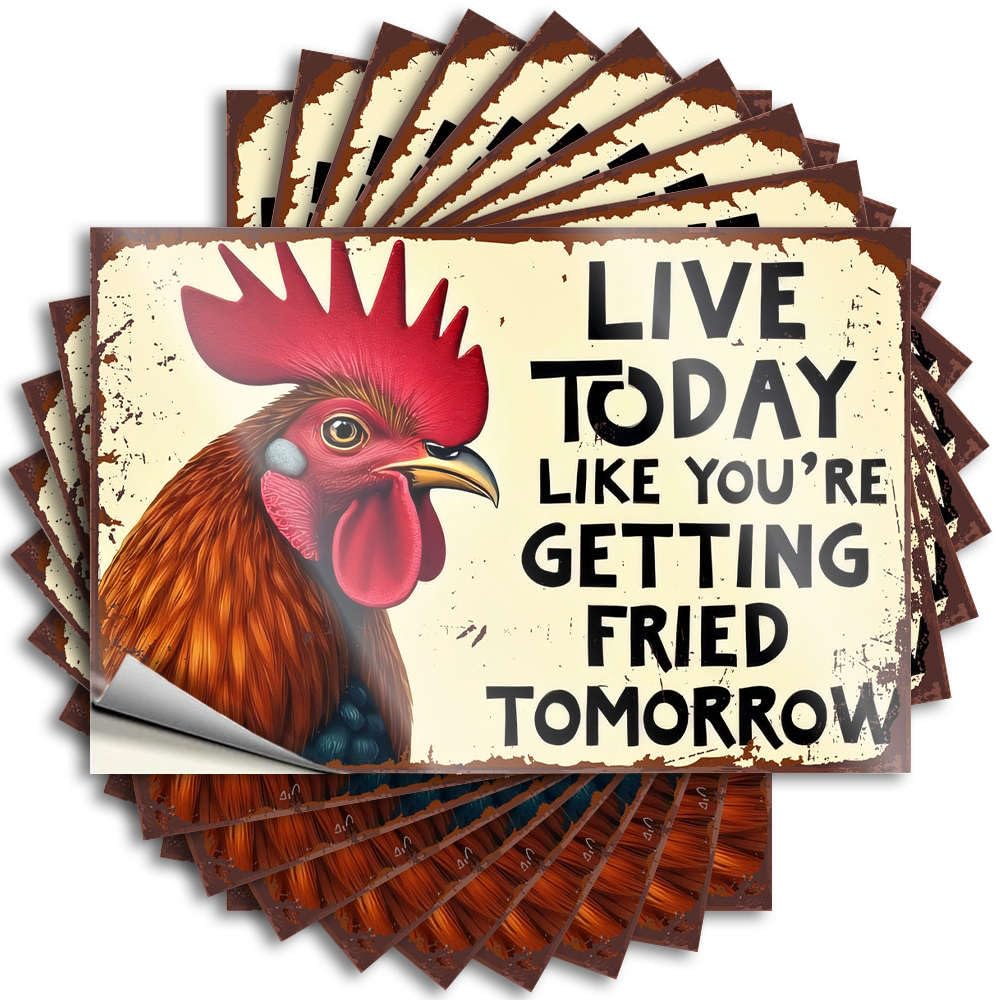 Decal Water Scratch Resistant Decals, Reading Matte Print for Phone Case Texas | Front Entrance Decor Uv Proof Pack Live Today Like You're Getting Fried Tomorrow(8X12CM)