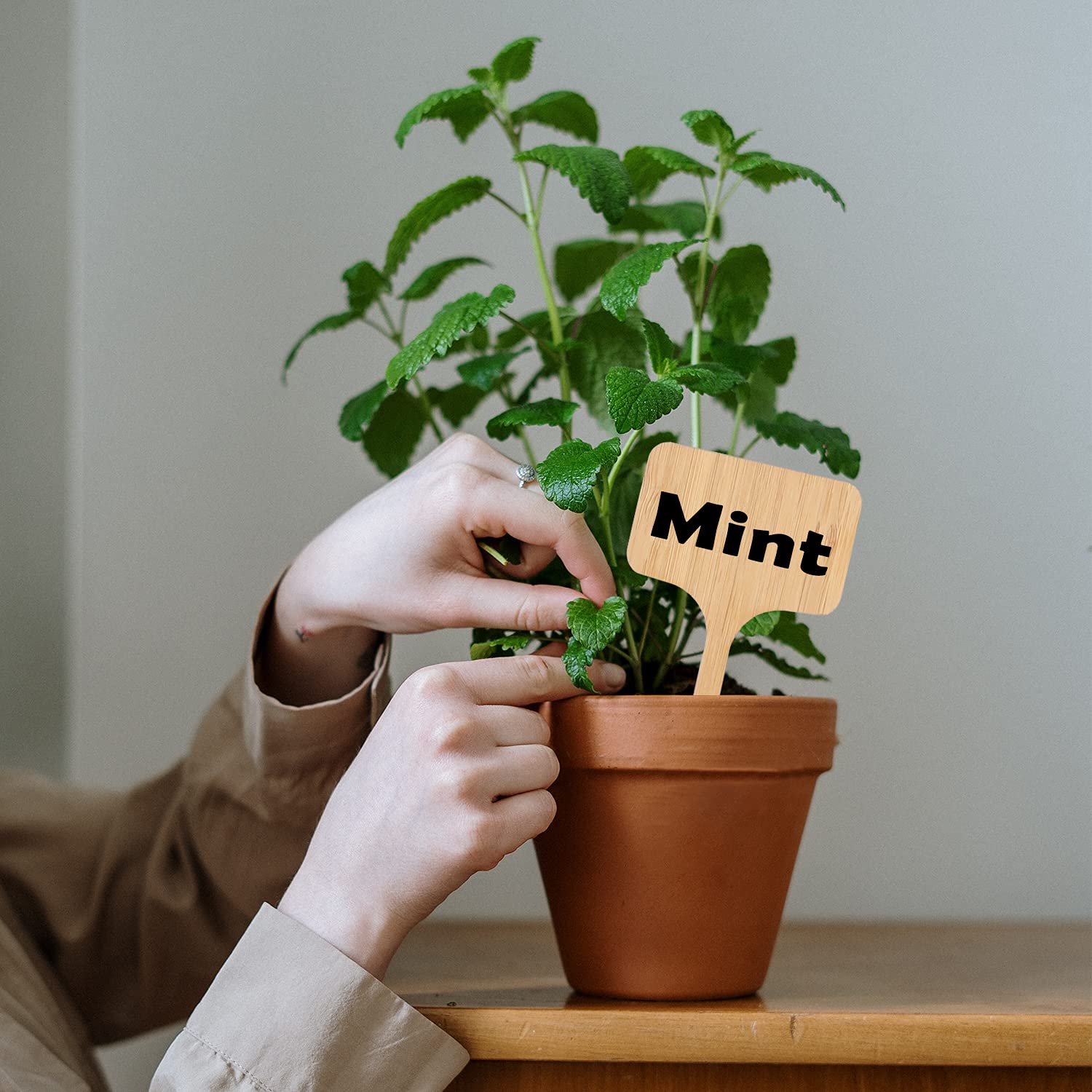 Boldernest Lot De 12 Belles étiquettes De Jardin En Bambou - Marqueurs Robustes Pour Jardin Extérieur Ou Herbes En Pot