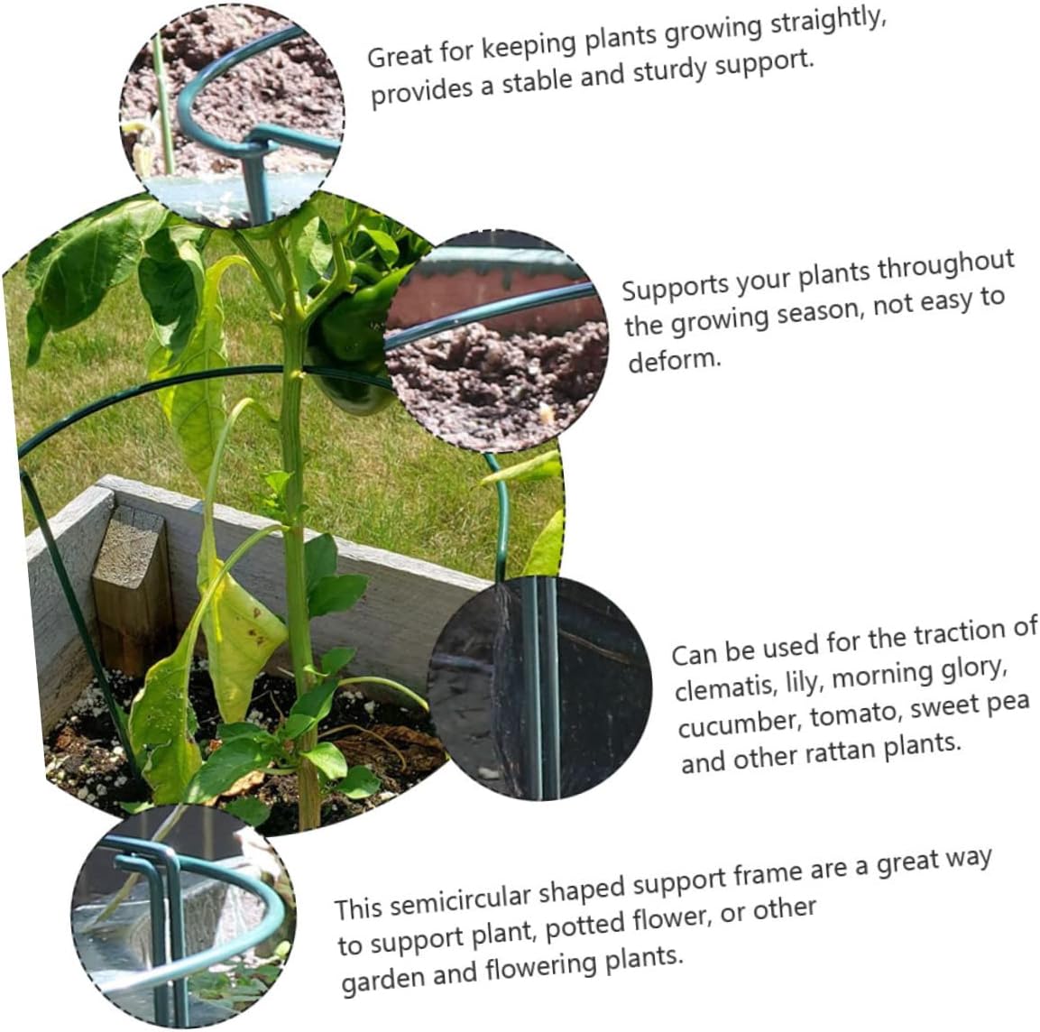 BESTonZON 4pcs Semicircular Plant Support Stakes for Hydrangea Garden Trellis for Bushy Roses Peonies Vines Iron Flower Support Frame Groove