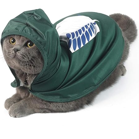 outfits for my cat