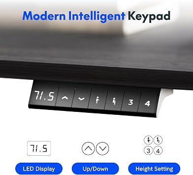 FLEXISPOT Electric Standing Desk ONE PIECE Height Adjustable Sit Stand Up Desk with Memory Smart Panel, Black, 110x54cm