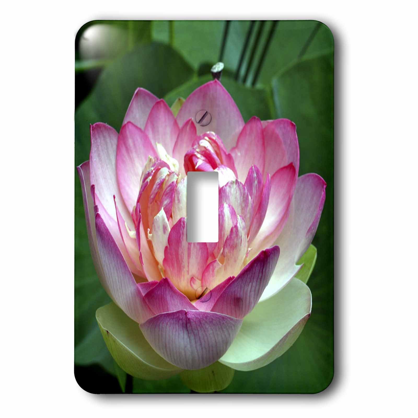 Interrupteur à baïonnette fleur de lotus 3dRose pour une chambre zen et apaisante