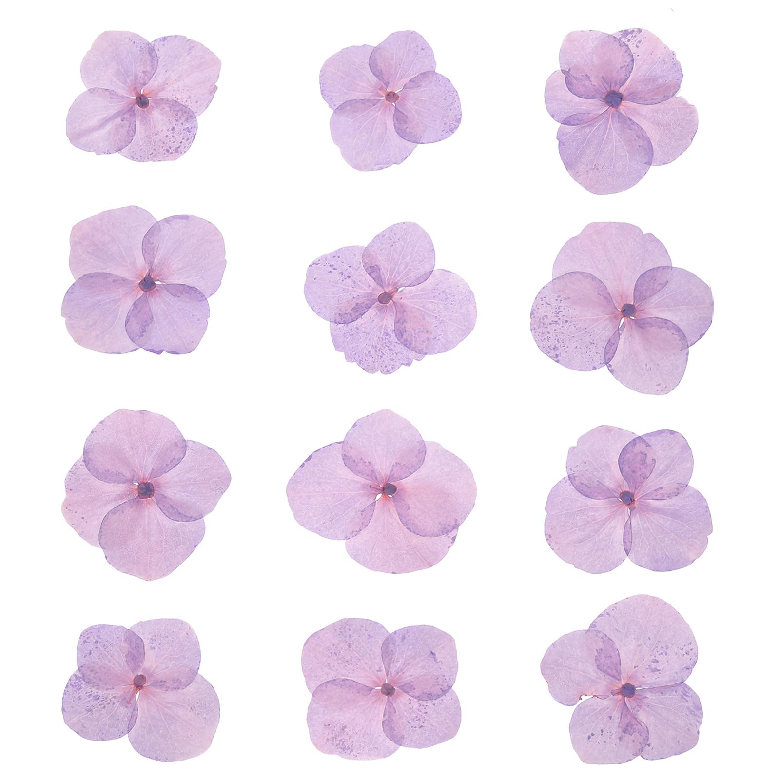 PATIKIL Dried Pressed Flower