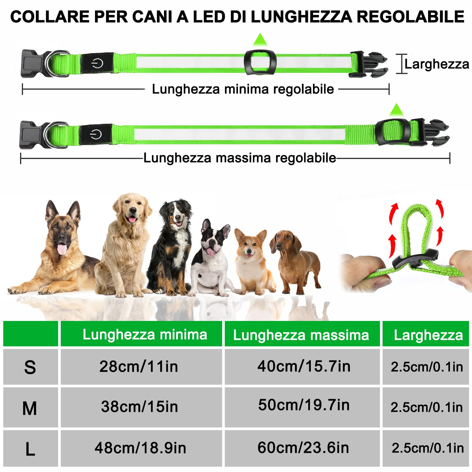 Nepfaivy Collare Luminoso per Cani Ricaricabile - Collare per Cani a Led con Lunghezza Regolabile, 3 Modalità di Illuminazione per la Sicurezza Notturna, Verde
