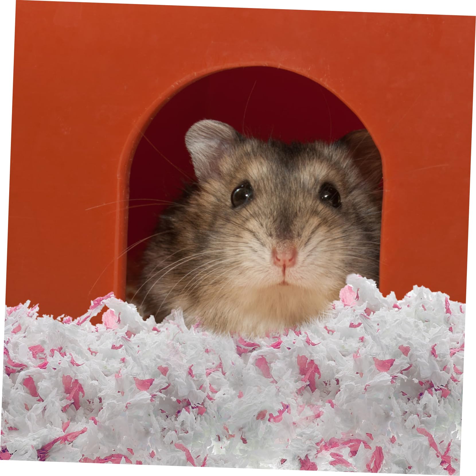 Lettiera in Carta Bianca 450g per Cincillà e Gerbilli, Morbida e Calda, Assorbente e Antiodore per Gabbie per Piccoli Animali