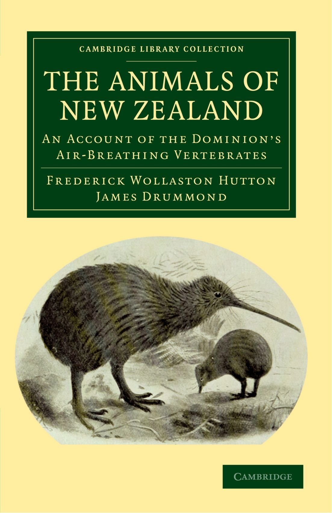 The Animals of New Zealand by Frederick Wollaston Hutton, Jam... - 9781108040020