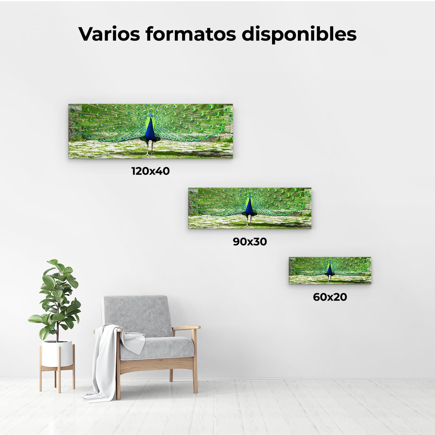 Artaza Cuadros Decoración Salón Modernos Pavo Real - 90x30 cm - Cuadros Animales Decoración Pared - Lienzos Decoración Hogar - Plumas Verdes