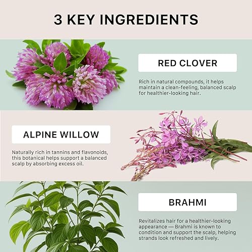 Miniatura 6 de ACTIIV Renew Healing Shampoo Treatment Improved Hair's Appearance, Promotes Scalp Health, Heals Damaged & Over-Processed Hair, Plant-Based,