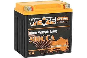 Weize YTX14-BS Honda Talon Battery