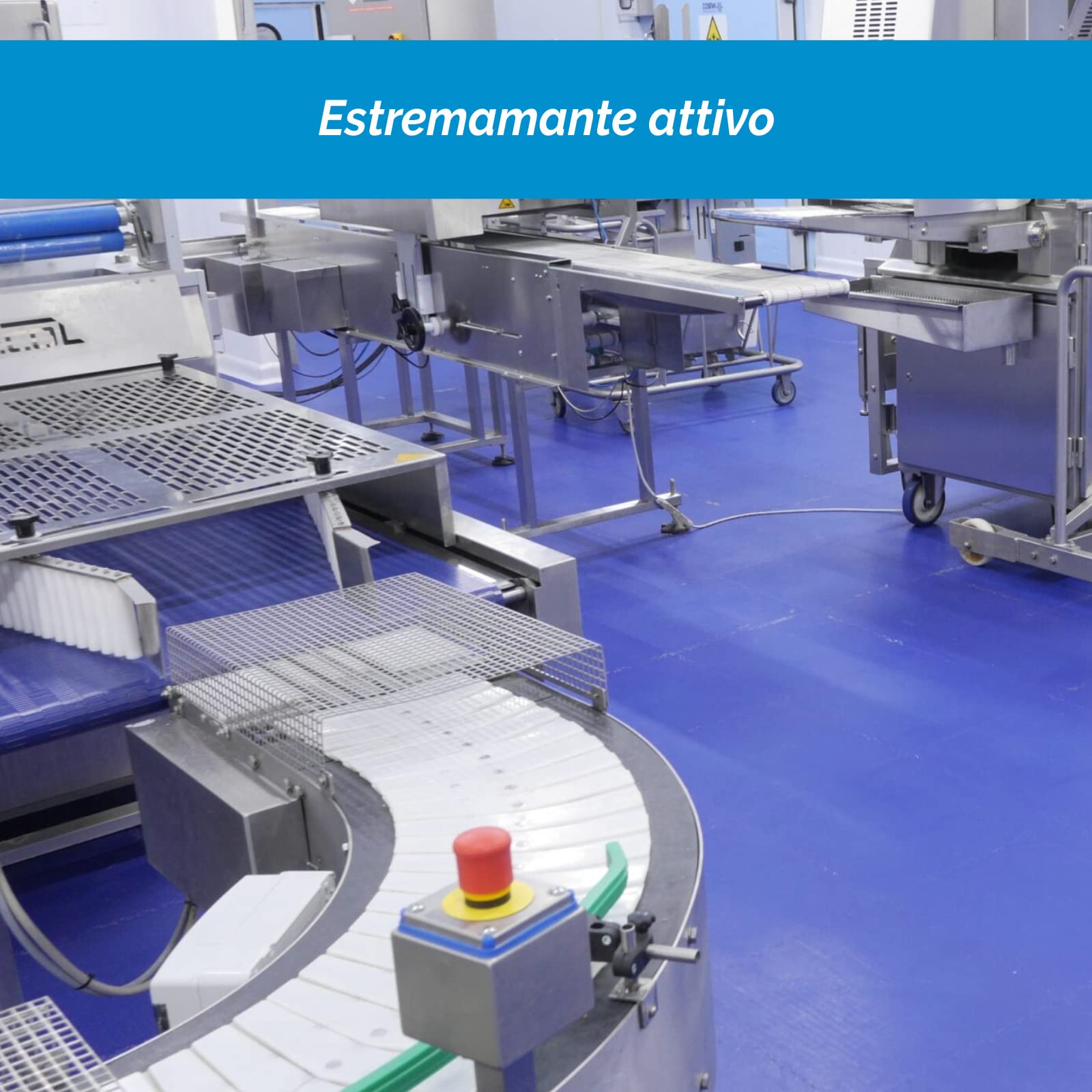 DETERGENTE SCHIUMOGENO per RESIDUI Grassi Alimentari Deter Foam - Tanica da 30 L