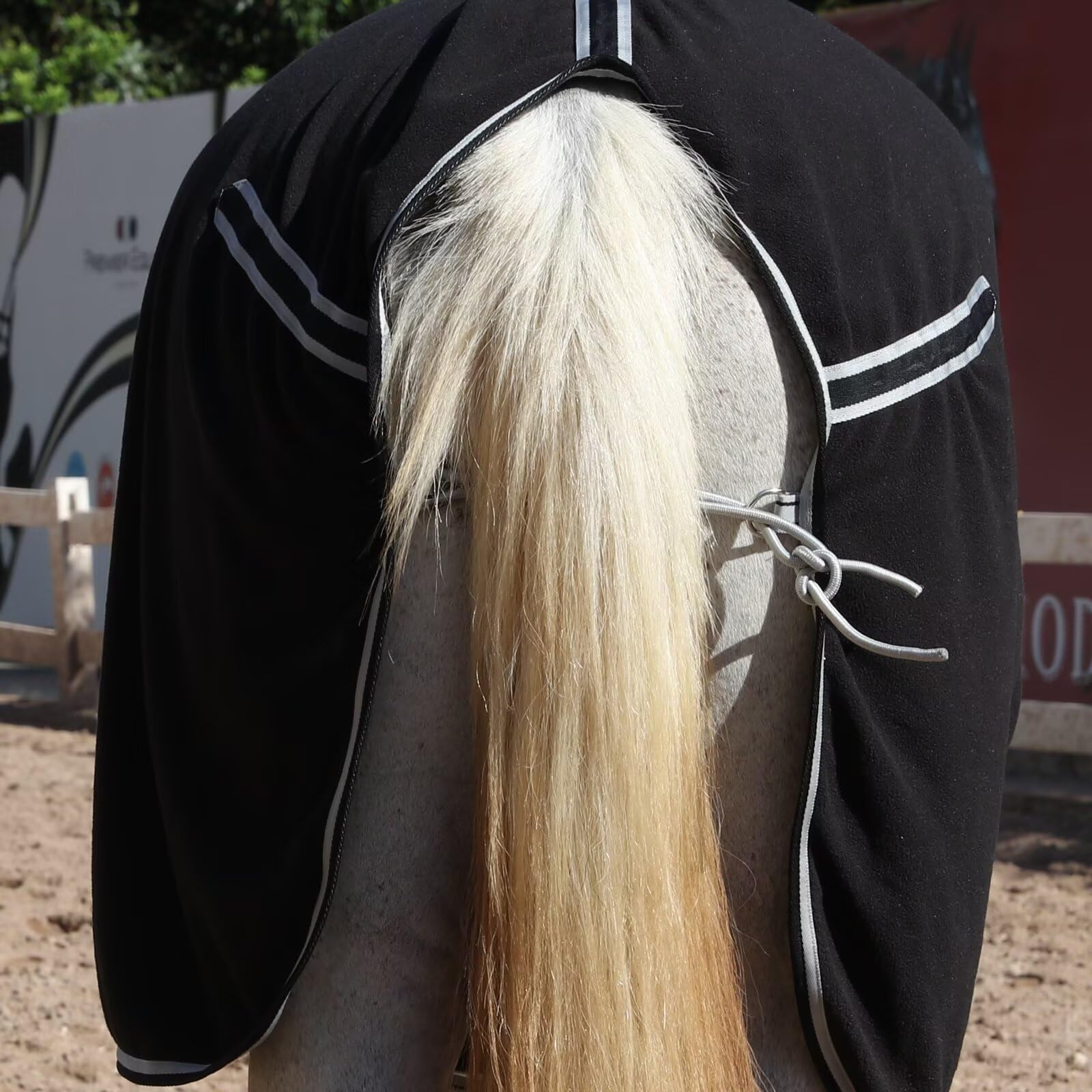 LEAFOREST Manta de forro polar con forro polar para caballos que absorbe la humedad en el granero, establo, pasto, paddock, negro, 84 pulgadas