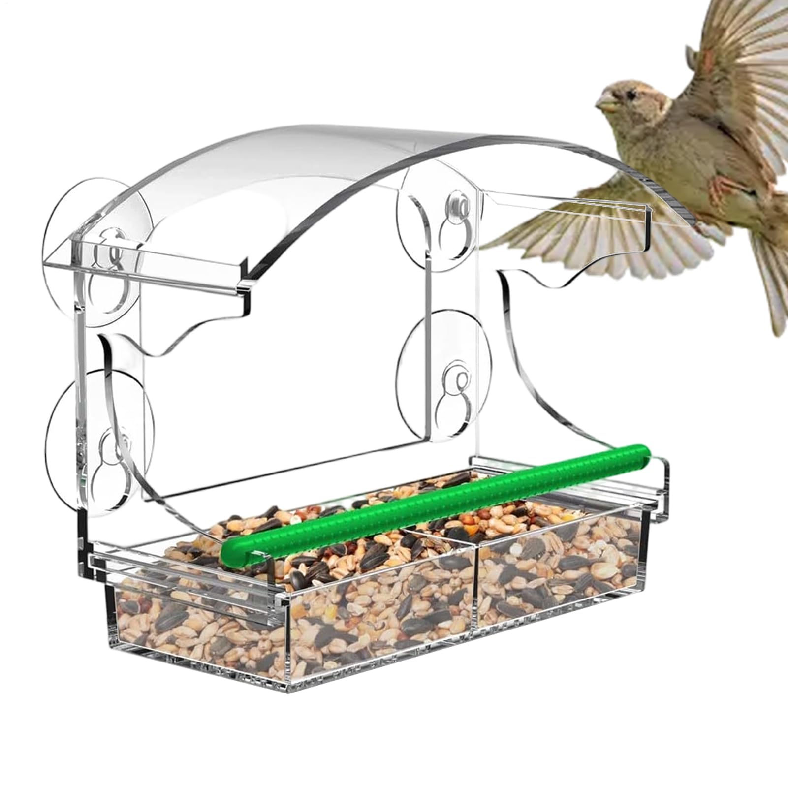 Nourrir les oiseaux sans salir vos vitres avec la mangeoire acrylique transparente de cour
