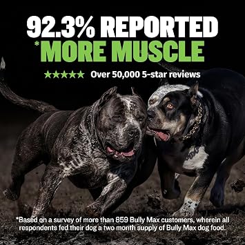 Bully Max 25/11 High Protein & Low Fat Dry Lamb Dog Food for Puppies and Adult Dogs - Chicken-Free Lamb Flavor - Natural Puppy Food for All Ages, Small and Large Breeds - Large Kibble Size, 5 lb. Bag