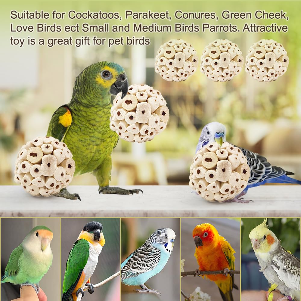 7Pcs Bird Toys for Parrots - Natural Soft Chew Shredding & Foraging Toy for Cockatiel Conure Quaker Parrot Budgie Parakeet Rabbit Bunny Guinea Pig Chinchilla - image 2