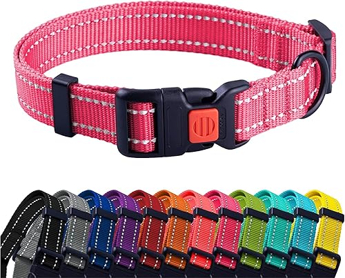 CollarDirect - Collar de seguridad reflejante para perro, con hebilla ajustable de nailon, para perros pequeños, medianos, grandes, en color rosa,