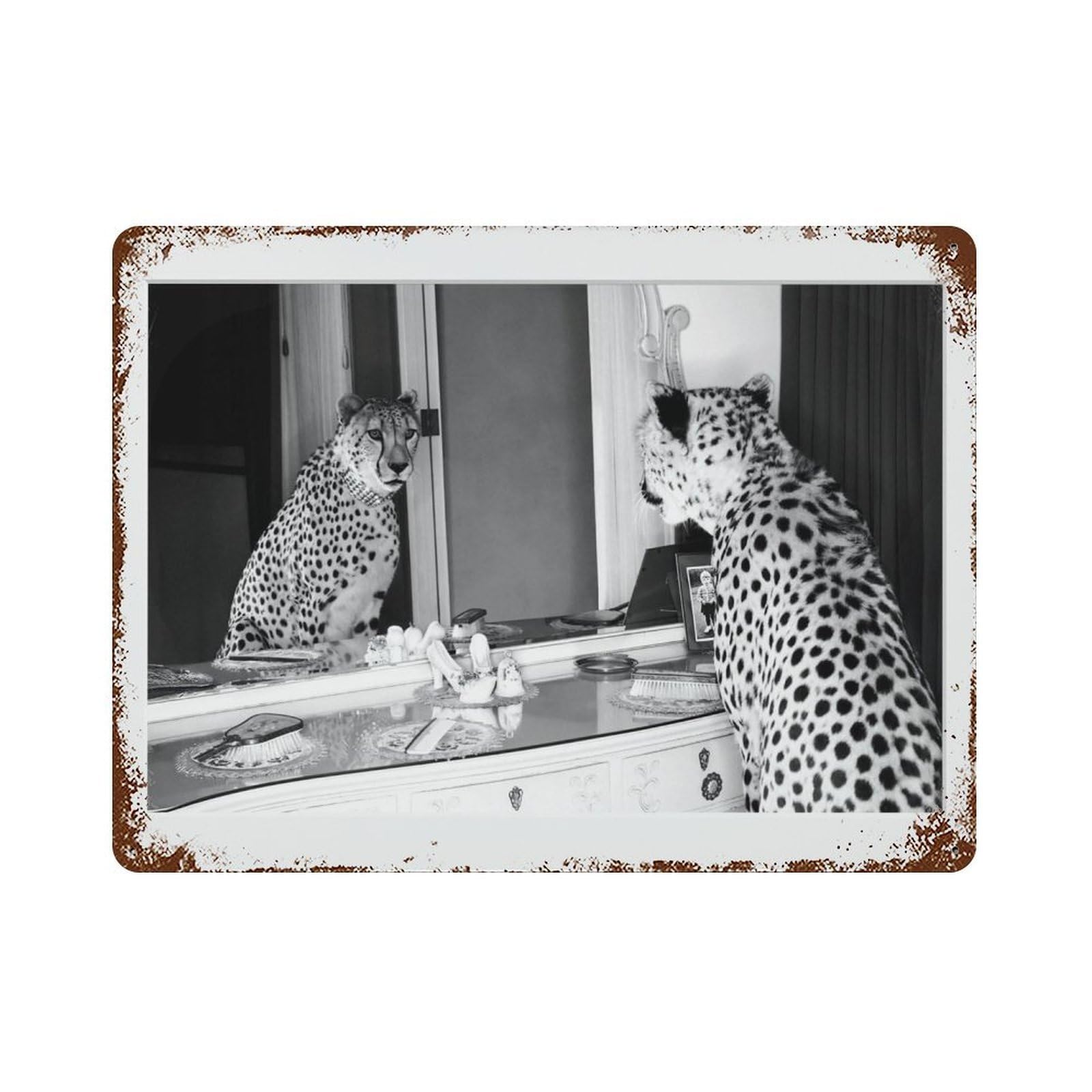 xiaoxiaoshen Cheetah Photography S1 Wall Decor Art Metal Tin Poster Modern Home Decor Art Home Bar Shop Decorations Vintage Sign 30x40cm
