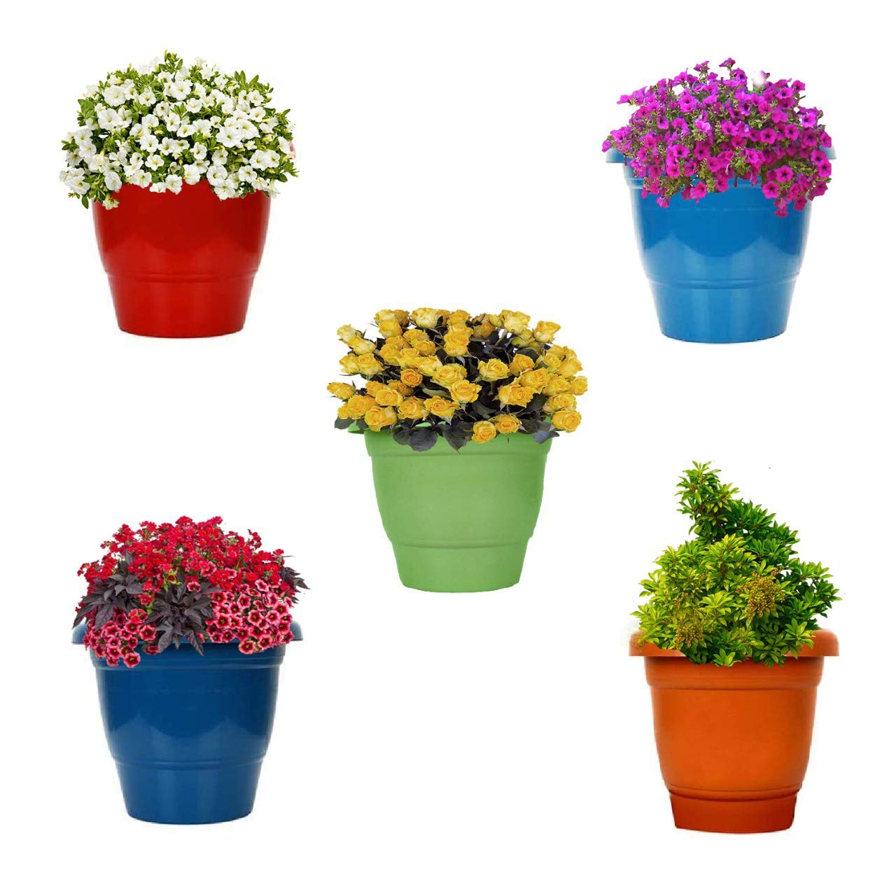 See full amazon price history chart for Kraft Seeds by 10 CLUB Plastic Deluxe Flower Pots (5 Pcs, 10 Inch, Multicolor) | Planters for Home Garden | Plant Pots for Lawns and Gardens | Pots Kraft Seeds by 10 CLUB Plastic Deluxe Flower Pots (5 Pcs, 10 Inch, Multicolor) | Planters for Home Garden | Plant Pots for Lawns and Gardens | Pots (B086ZD4GN8) Amazon Price History, Amazon Price Tracker