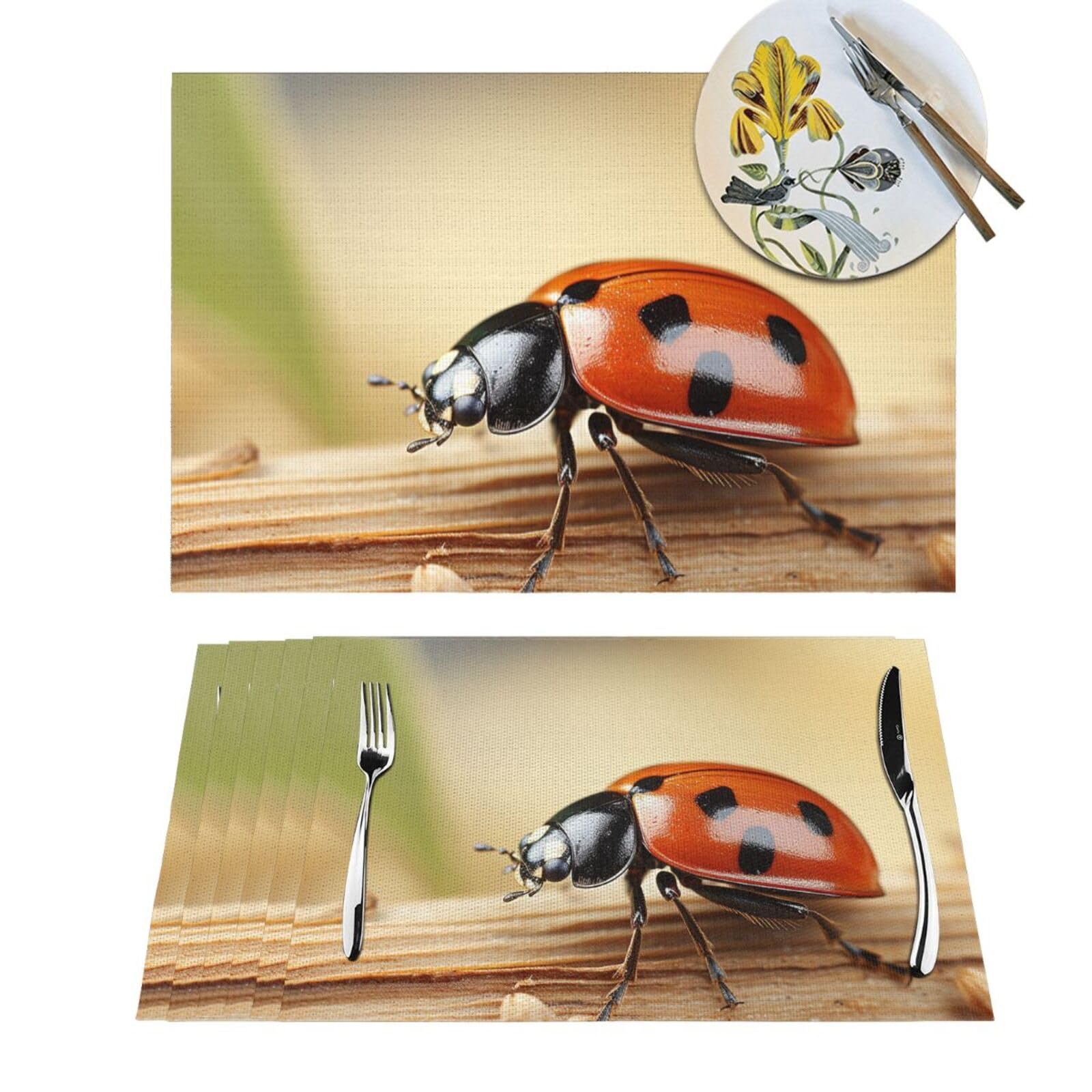 Set de table orange en PVC antidérapant idéal pour repas de fête et cuisine