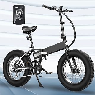 Amazon.ca: folding electric bike