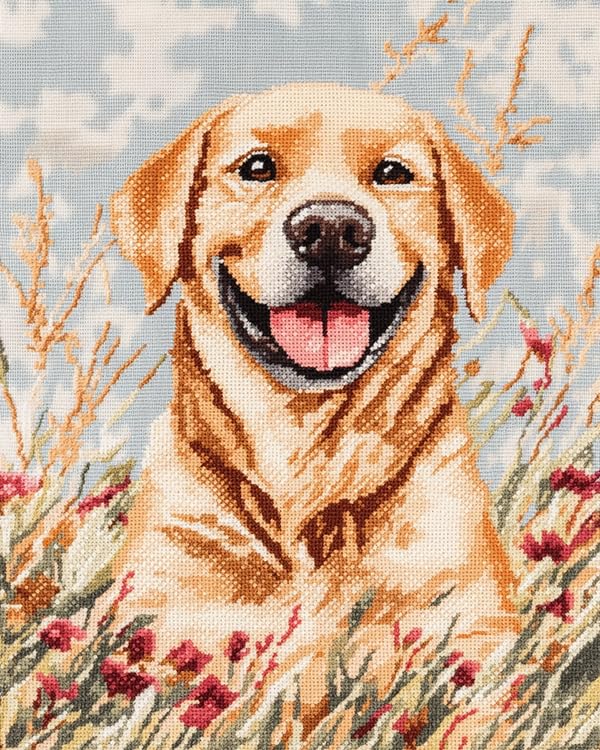Kit Broderie Point de Croix DIY Cadeau Créatif Adulte Canevas Jack Russell Terrier