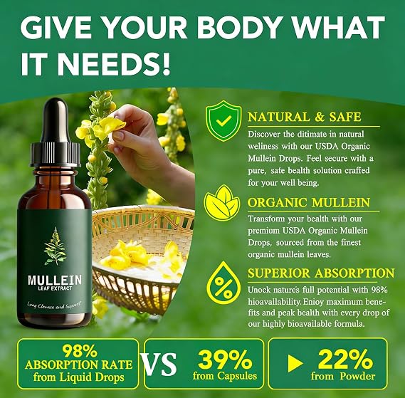 Mullein Leaf Extract Liquid Drops 2-Pack with Chlorophyll, Super Concentrated Tincture for Lung Cleanse & Respiratory Health, Fast Absorption Alcohol-Free Herbal Supplement for Adults