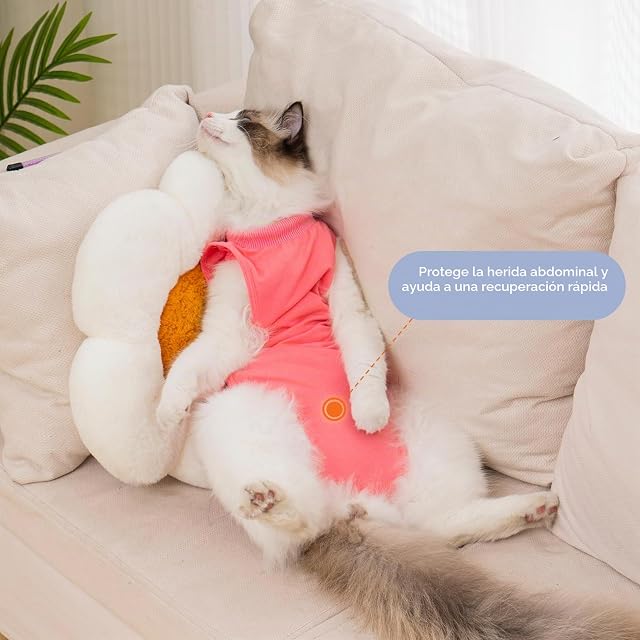 Foto 4 de 6 de Avont Body Recuperación para Gatos, Suave, Transpirable -Rosa Rosado(M)
