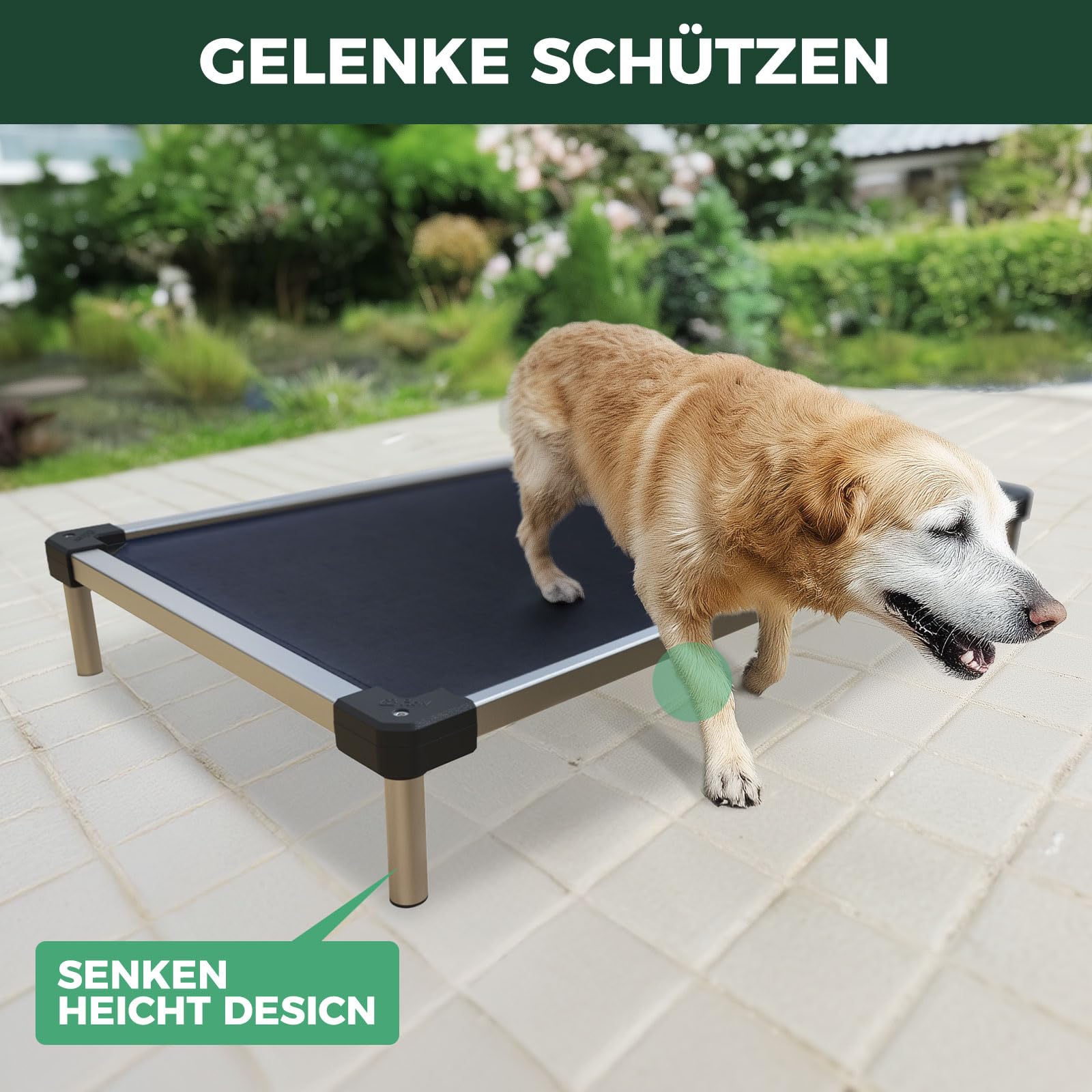 FXW TitanNest Bissfestes, gepolstertes Hundebett für mittlere Hunde | Leicht zu reinigen, Vormontiertes Hochbett, Innen/Außen/Camping, 104,0 x 68,4 x 12,7 cm
