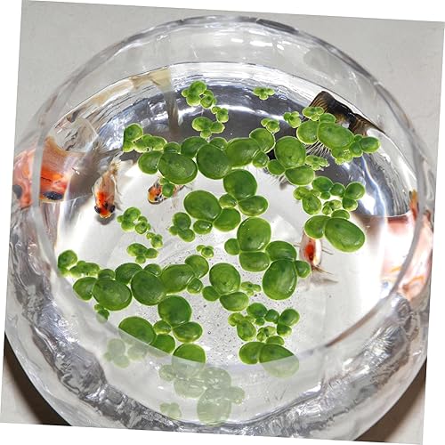 Miniatura 8 de POPETPOP Paquete de 2 plantas artificiales flotantes de lenteja de pato artificial, decoración de estanque, paisaje, acuario, pecera, decoración