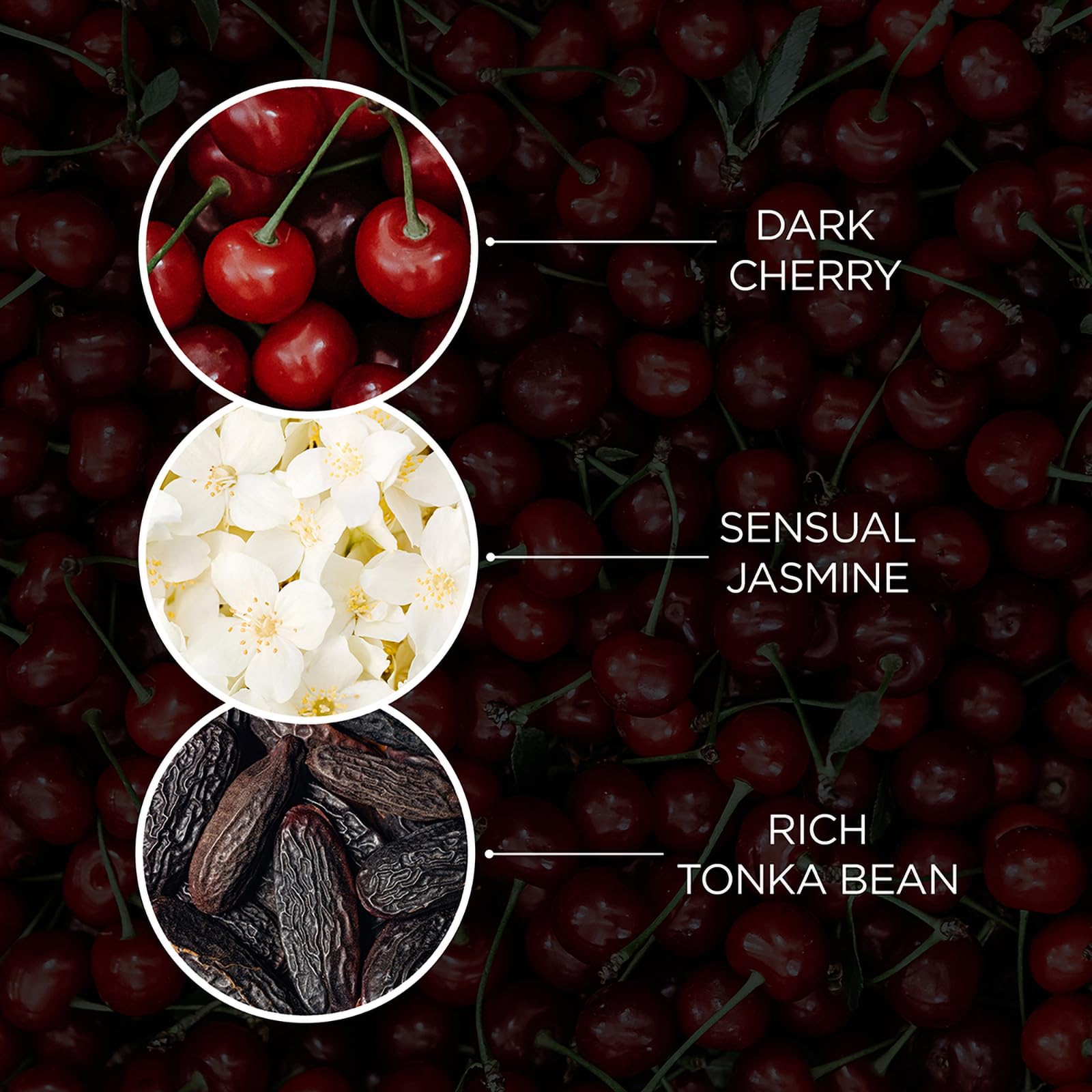 Baylis & Harding The Edit Cherry Temptation Body Lotion, 236 ml (Pack of 1) - Image 4