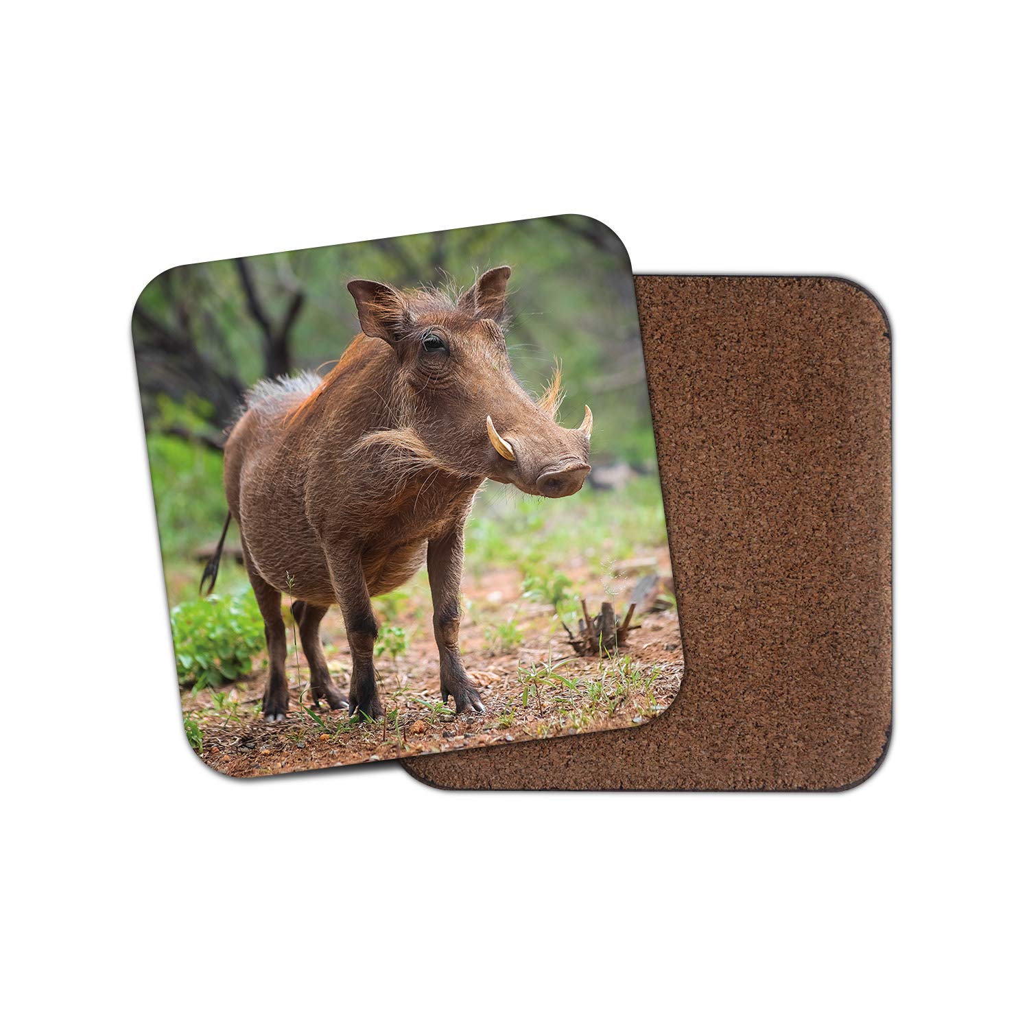 Destination Vinyl Ltd Multicolor 1 X Warthog Coaster - Wild Pig Boar Hog Kenya Africa Animal #15949