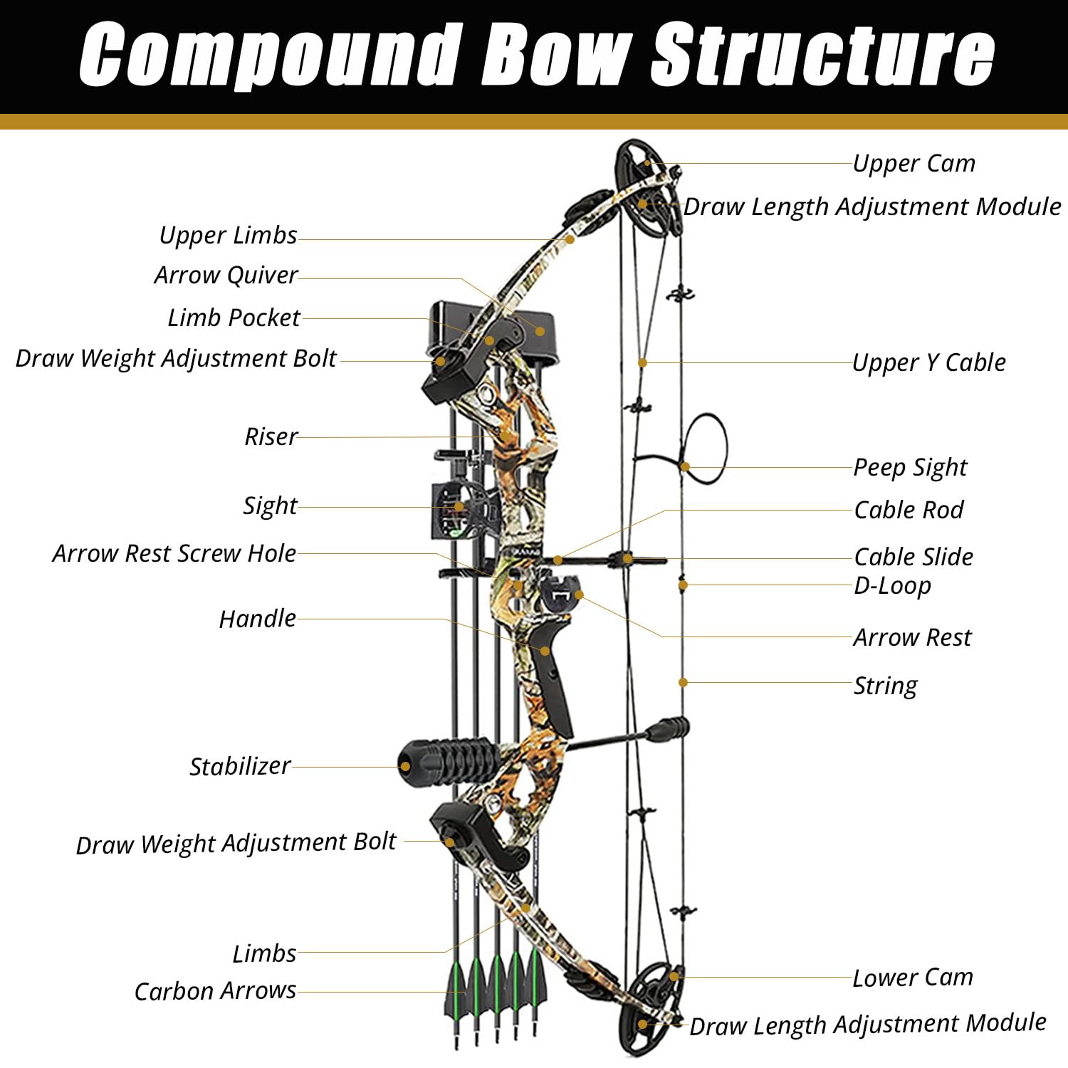 Compoundbogen Set Erwachsene Rechtshand 30-55 lbs Einstellbar, IBO 310 FPS 24-29,5 Zoll Auszugslänge, Jagd Sportbogen Komplettset mit Carbonpfeilen für Anfänger Bogenschießen Training